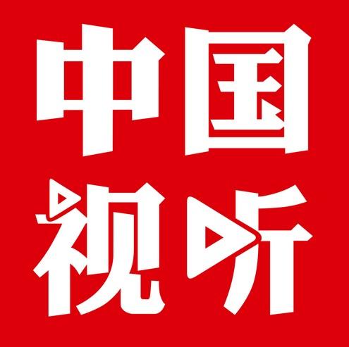 中文视听手机版app