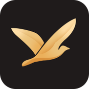 海鸥加速器2024免费版