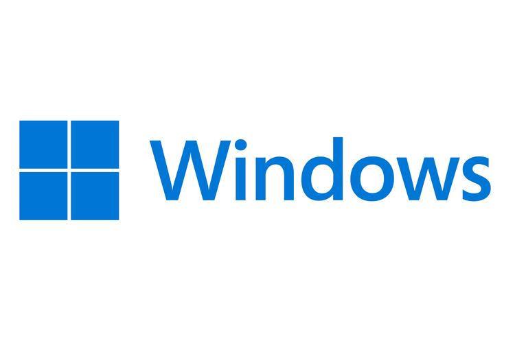 windows网络驱动程序游戏截图