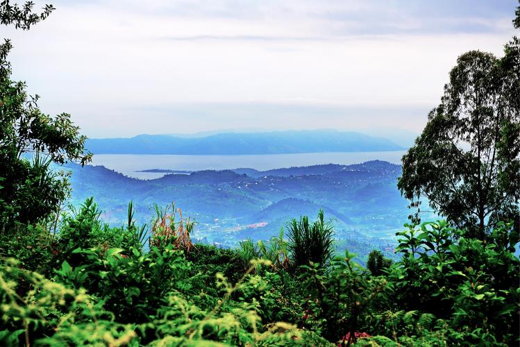 3060top雨林版本可以联机