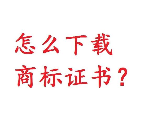 证书怎么填永久免费图标