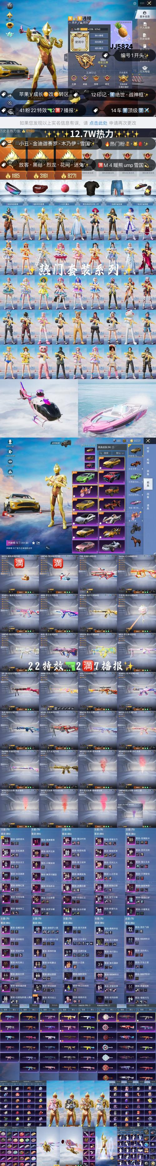 友趣宝和平精英皮