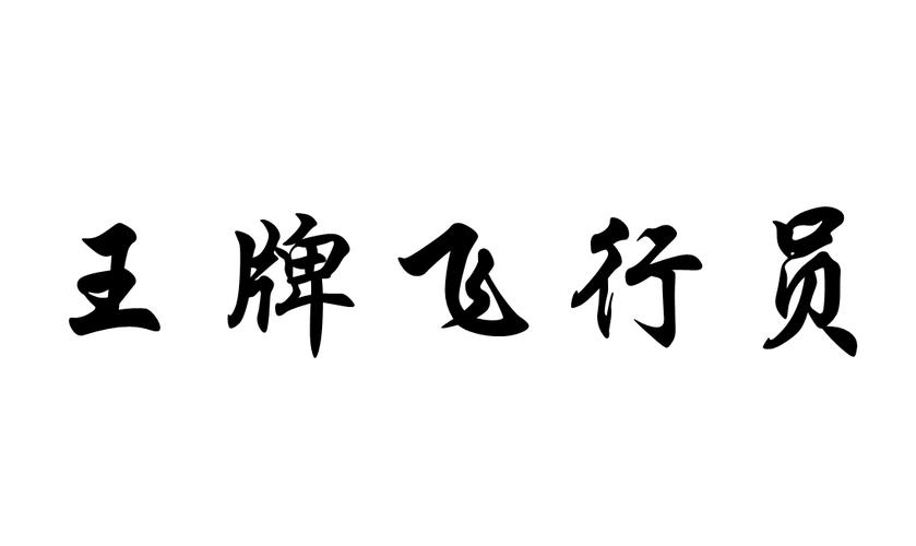 王牌飞行员2022新年版图标