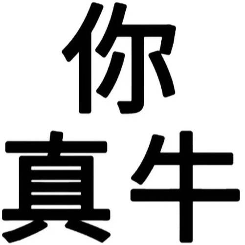 你不是挺牛逼吗就