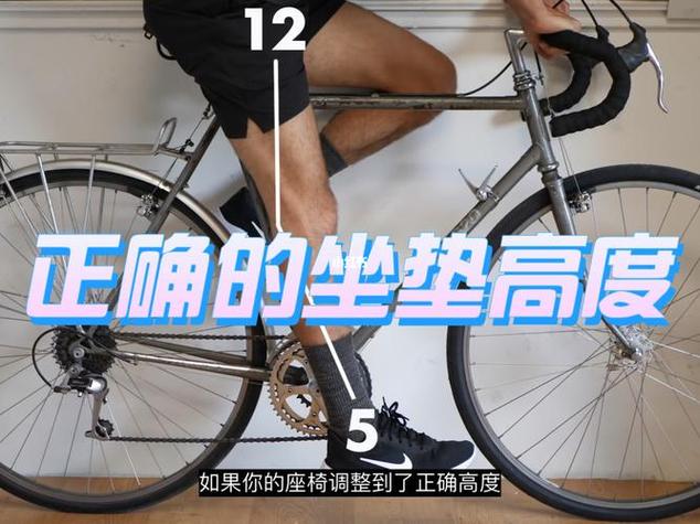 公路车把立与车座高度差