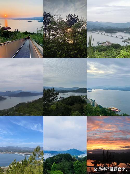 虚拟币主流币有哪些