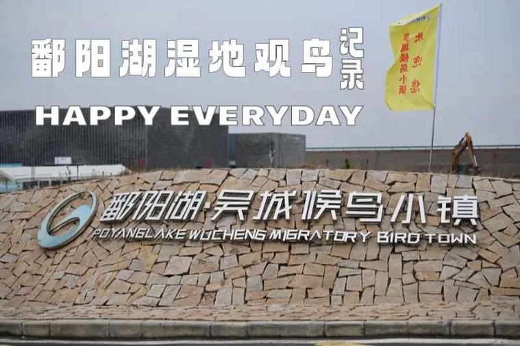 中国观鸟网官网入口