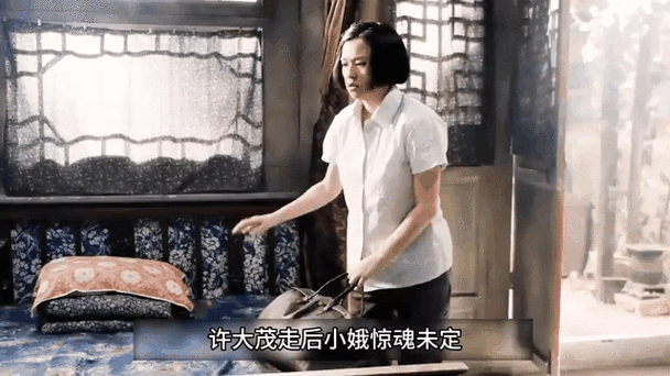 四合院傻柱带妹妹入赘