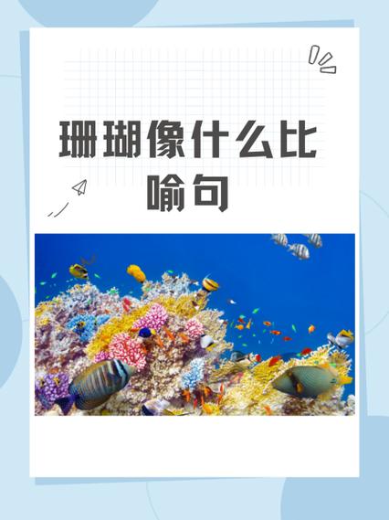 珊瑚是什么意思图标