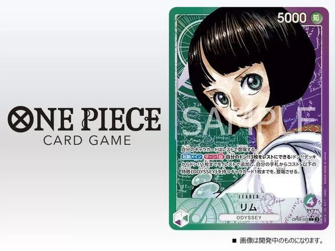 海贼王后宫游戏游戏截图